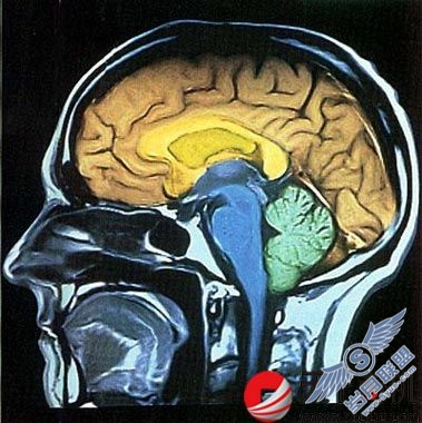 ����˵��׬Ǯʮ���������ܡ� ��ҵ���� ��ҵ���� ��ҵ ���̻��� 