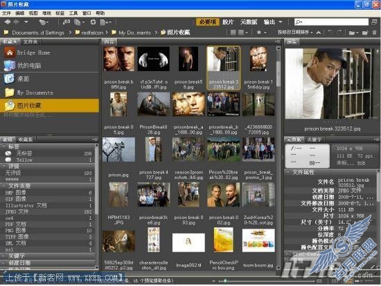 Adobe Bridge CS4