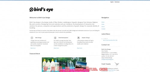 birdseyedesign 500x242 55 Examples of Minimalistic Web Design