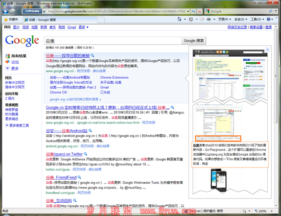 google_serp_webpage_preview_1