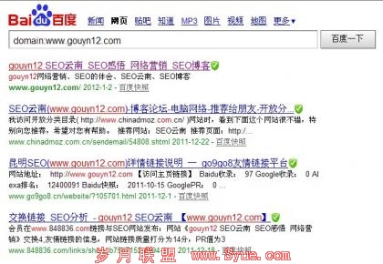 SEO云南博客的百度domain查询结果