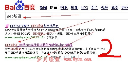 百度中文分词算法SEO培训排名第2位