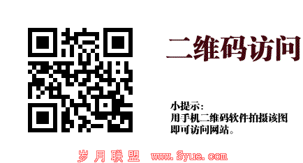 2012年移动SEO启示