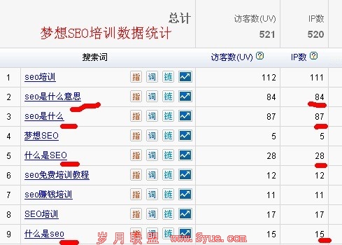 ��ҵSEO��ҳ��׬200IP����ͳ��ͼ