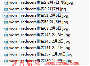 worm reducers,worm reducer