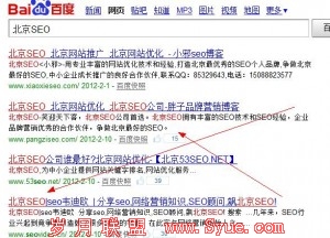 SEO韦迪欧博客北京SEO百度首页排名第四经验分享