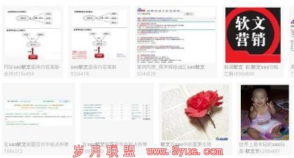 在网络上越来越受关注的SEO软文
