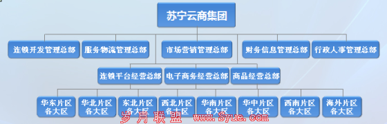 苏宁新架构